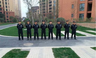 如何评估保安服务合同中的履约能力？